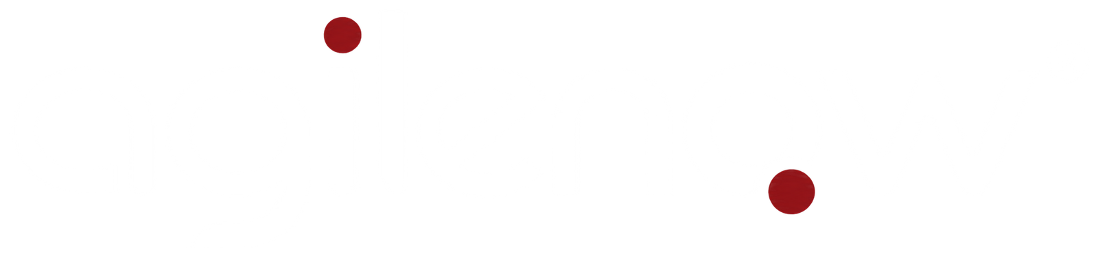 The AgileNow
